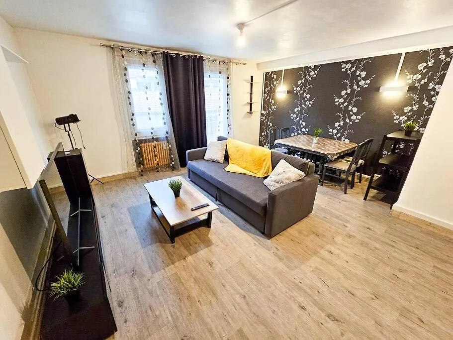 Apartment Le Bergson 3 Chambres Stationnement Gratuit Saint-Etienne